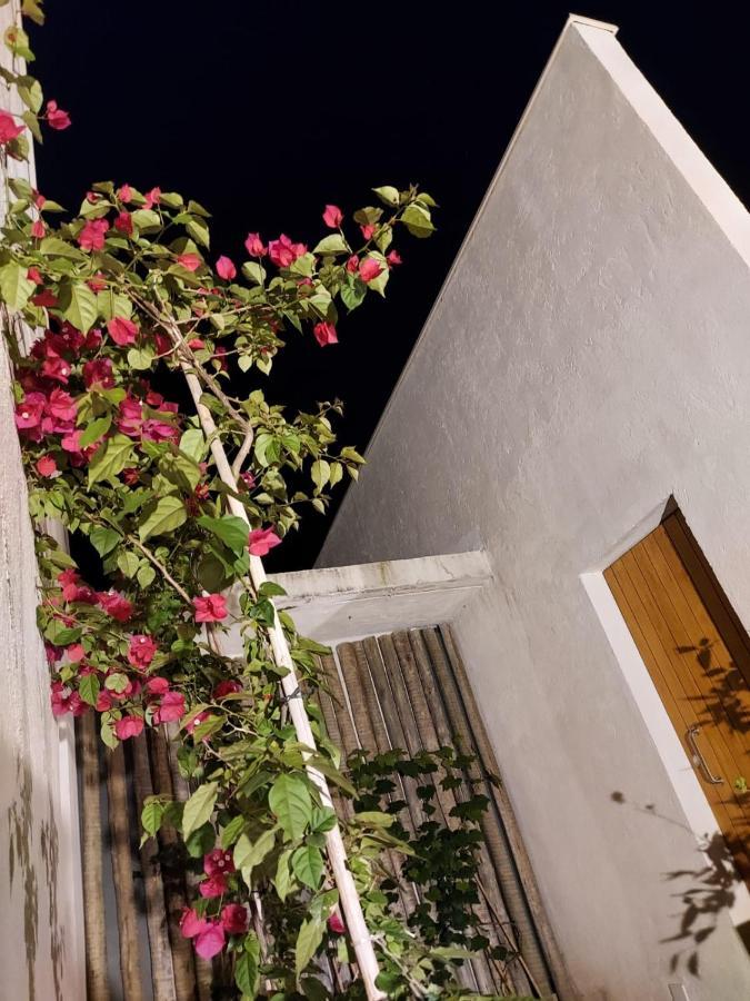 Statera Host Villa อัลโต ปาไรโซ เด โกยาส ภายนอก รูปภาพ